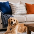 Best MERV Rating For 14x28x4 Air Filters In A Pet Household